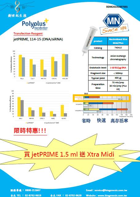 2019-Q4 促銷6連發-2